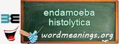 WordMeaning blackboard for endamoeba histolytica